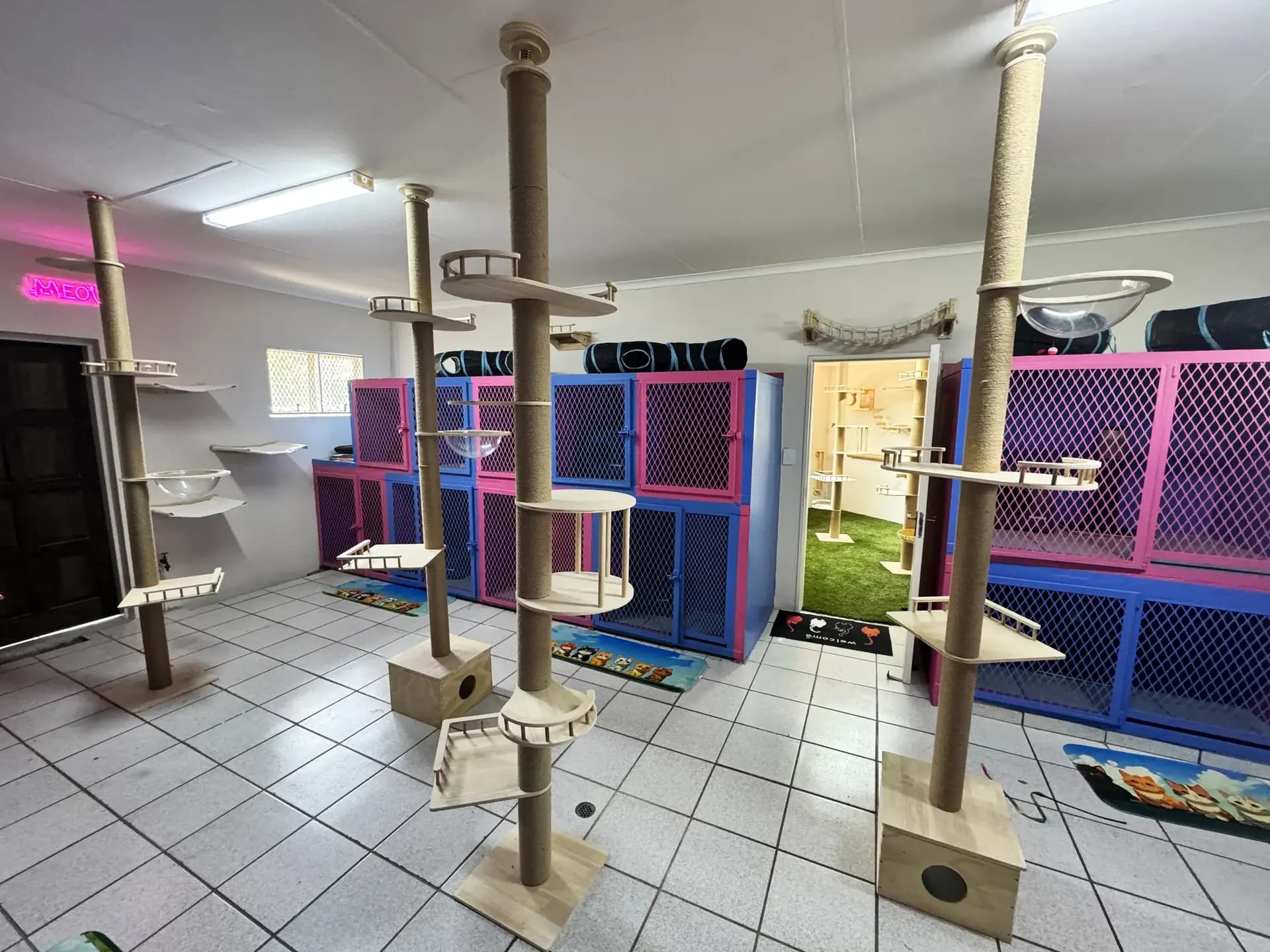 Luxury Cat Hotel