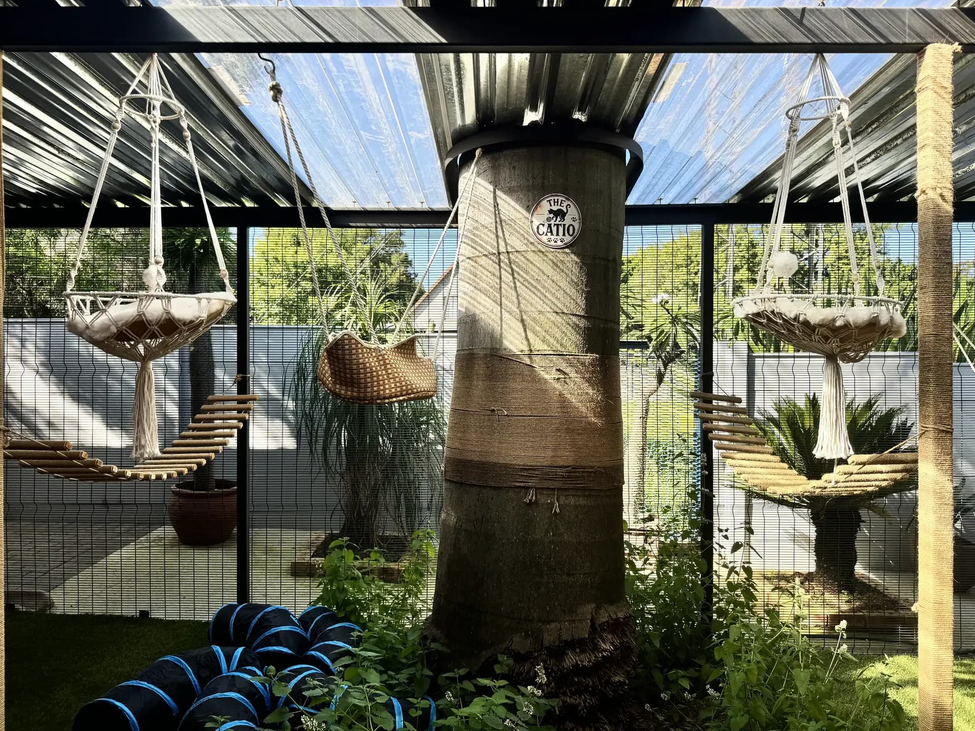 Inside the Coopers Cat Hotel
